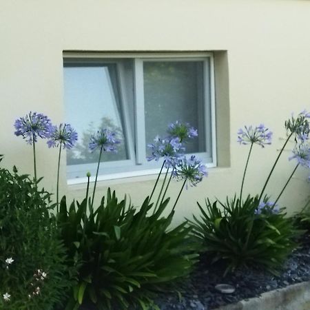 Les Hortensias Fortschwihr Esterno foto