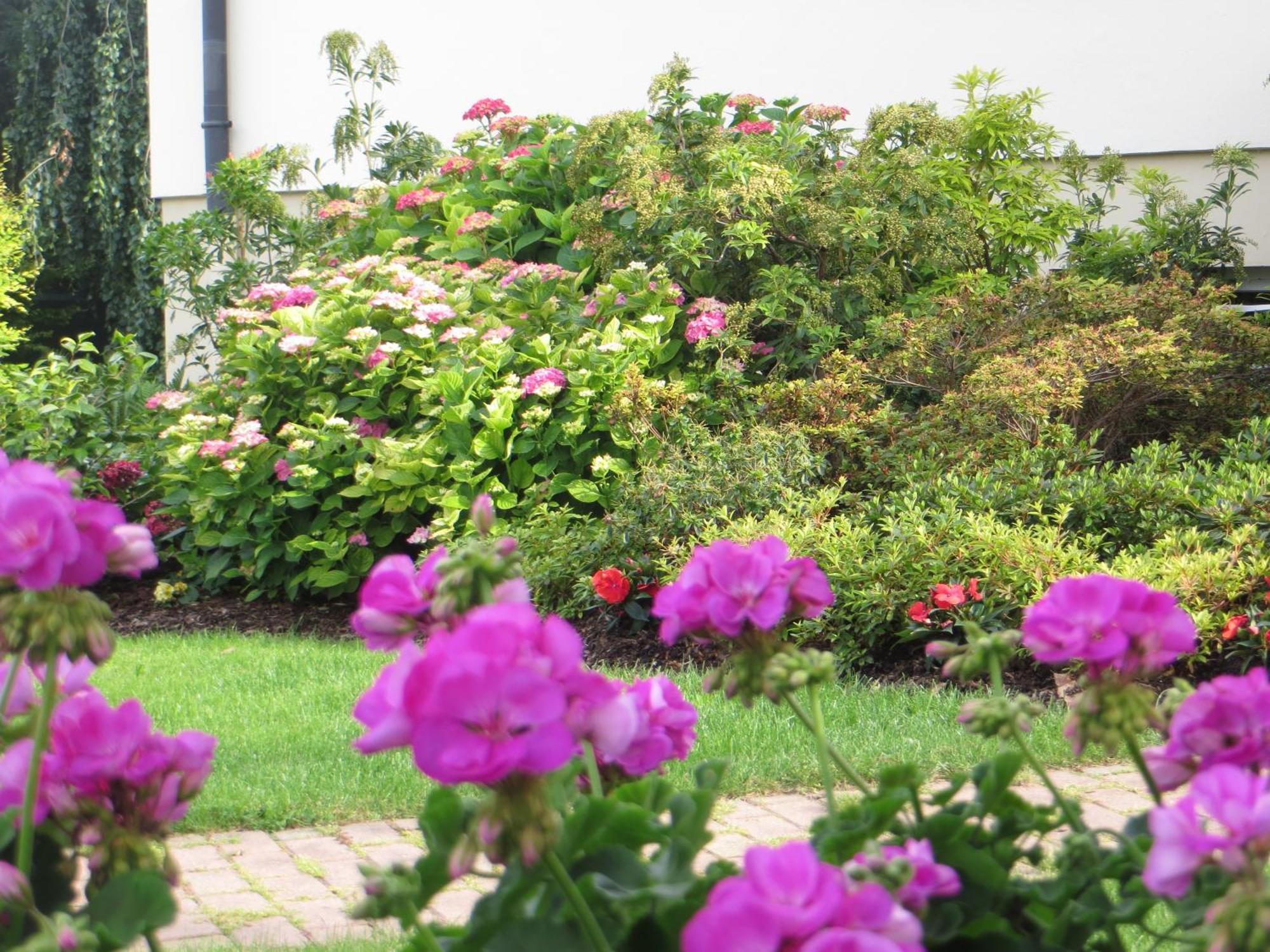 Les Hortensias Fortschwihr Esterno foto