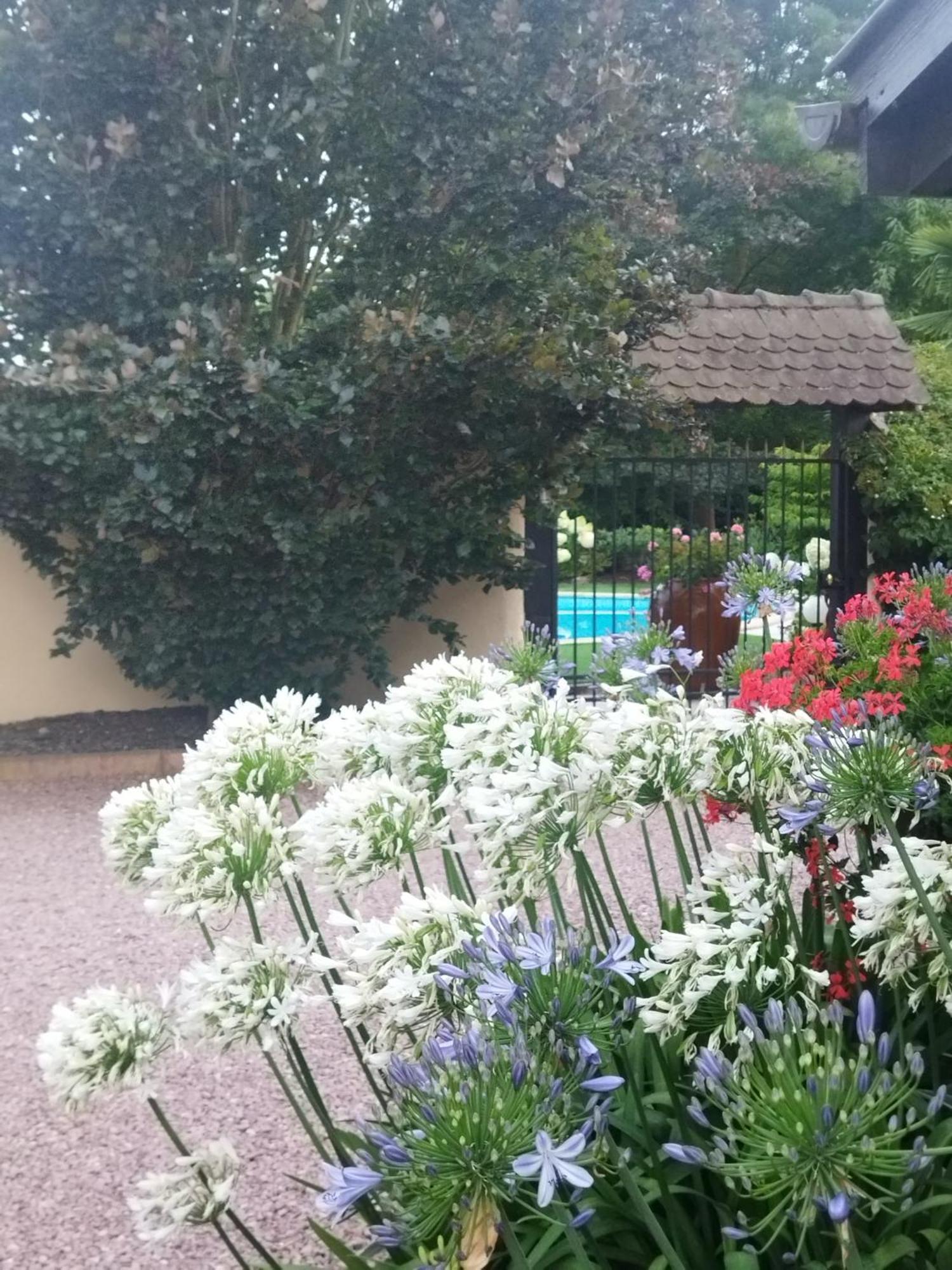 Les Hortensias Fortschwihr Esterno foto