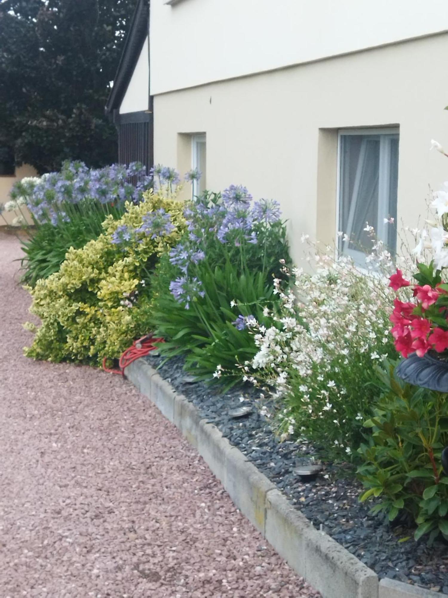 Les Hortensias Fortschwihr Esterno foto