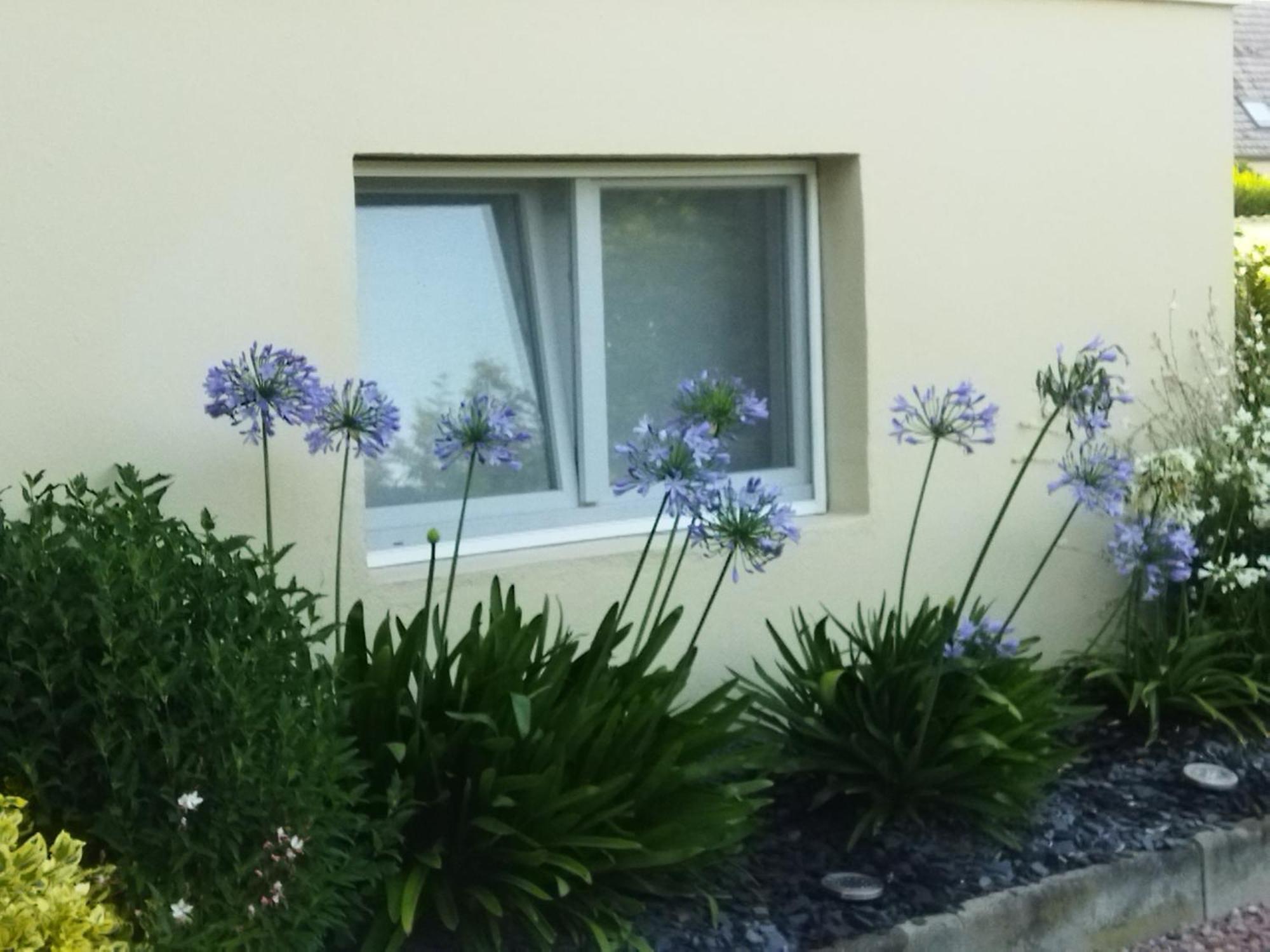 Les Hortensias Fortschwihr Esterno foto